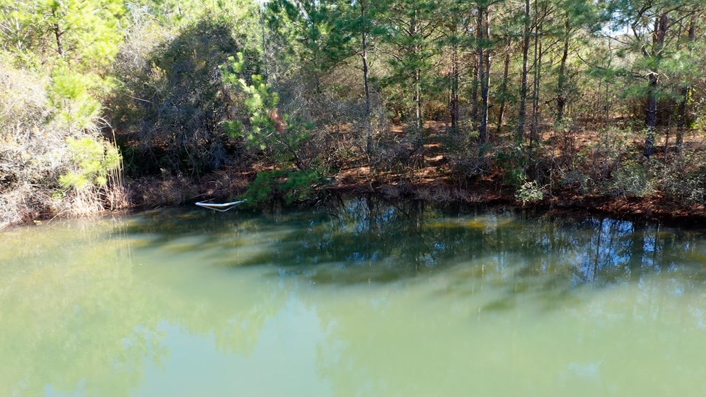 46-acres Post Oak Road Slocomb, AL 36375 - Photo 18 of 24