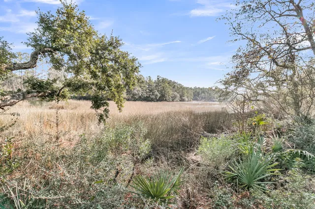$1,195,000 | 1052 Bradbury Lane, Charleston, SC 29492