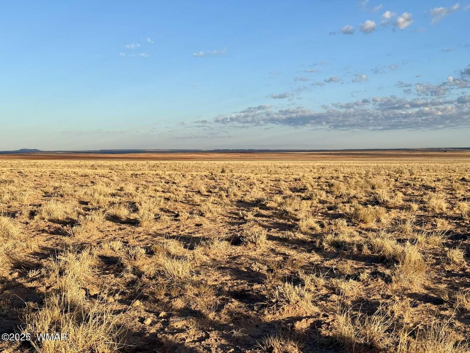 13 Kerr McGee Road Chambers, AZ 86502 - Photo 13 of 19 Sharp.13