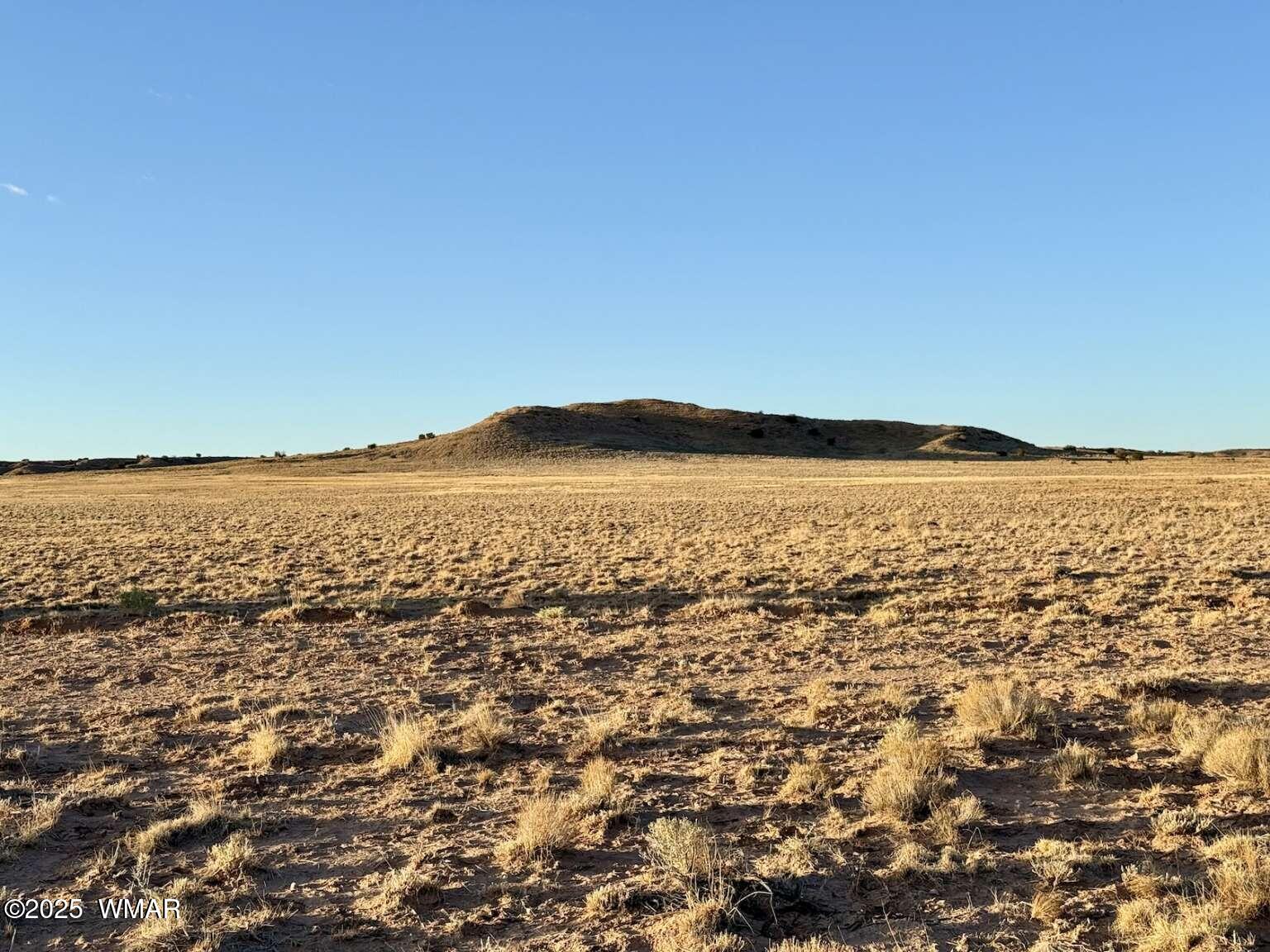 13 Kerr McGee Road Chambers, AZ 86502 - Photo 15 of 19 Sharp.15