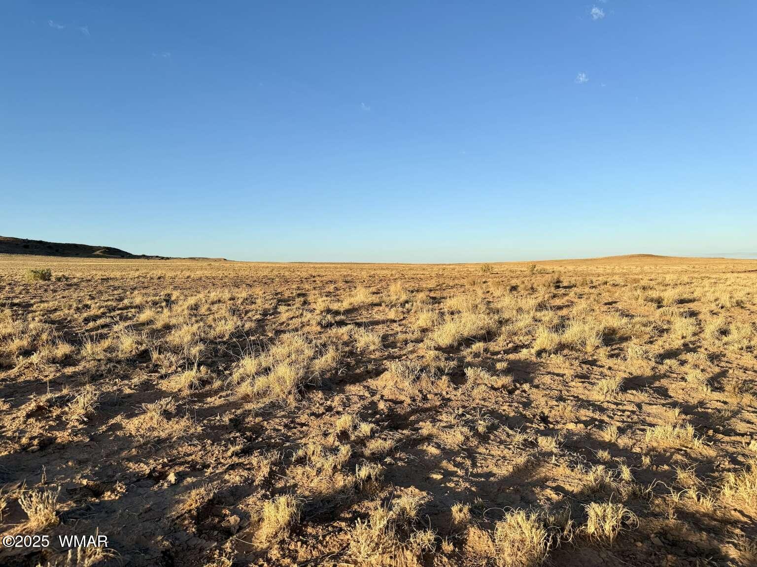 13 Kerr McGee Road Chambers, AZ 86502 - Photo 4 of 19 Sharp.4