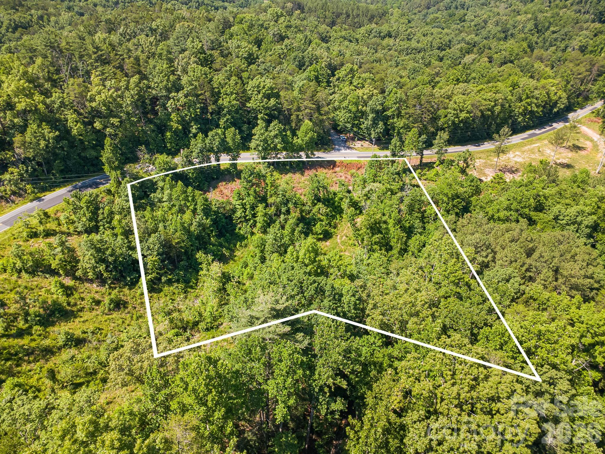 Lot #2 Clark Road Rutherfordton, NC 28139 - Photo 8 of 36