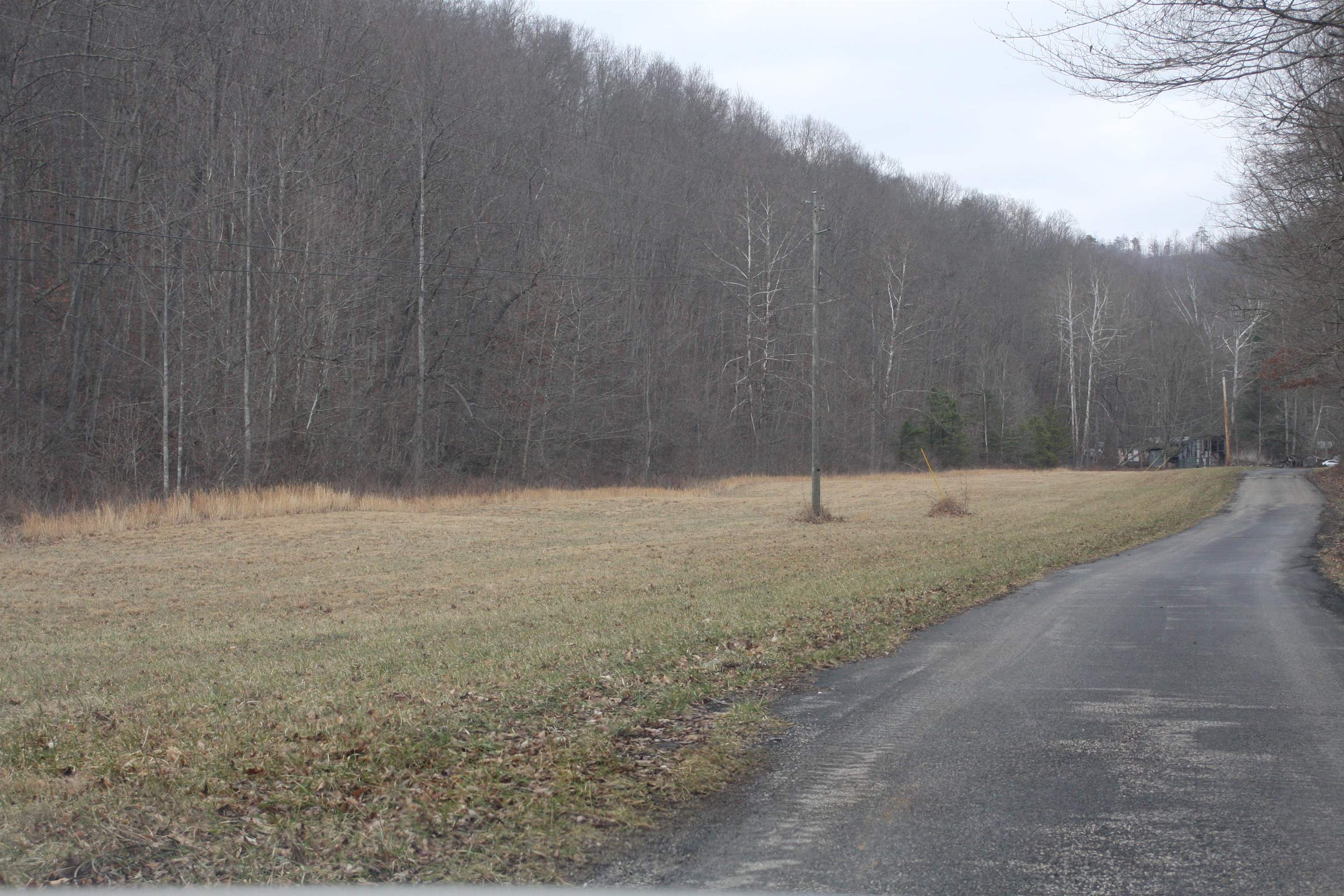 Boone Branch Road Garrison, KY 41141 - Photo 14 of 19