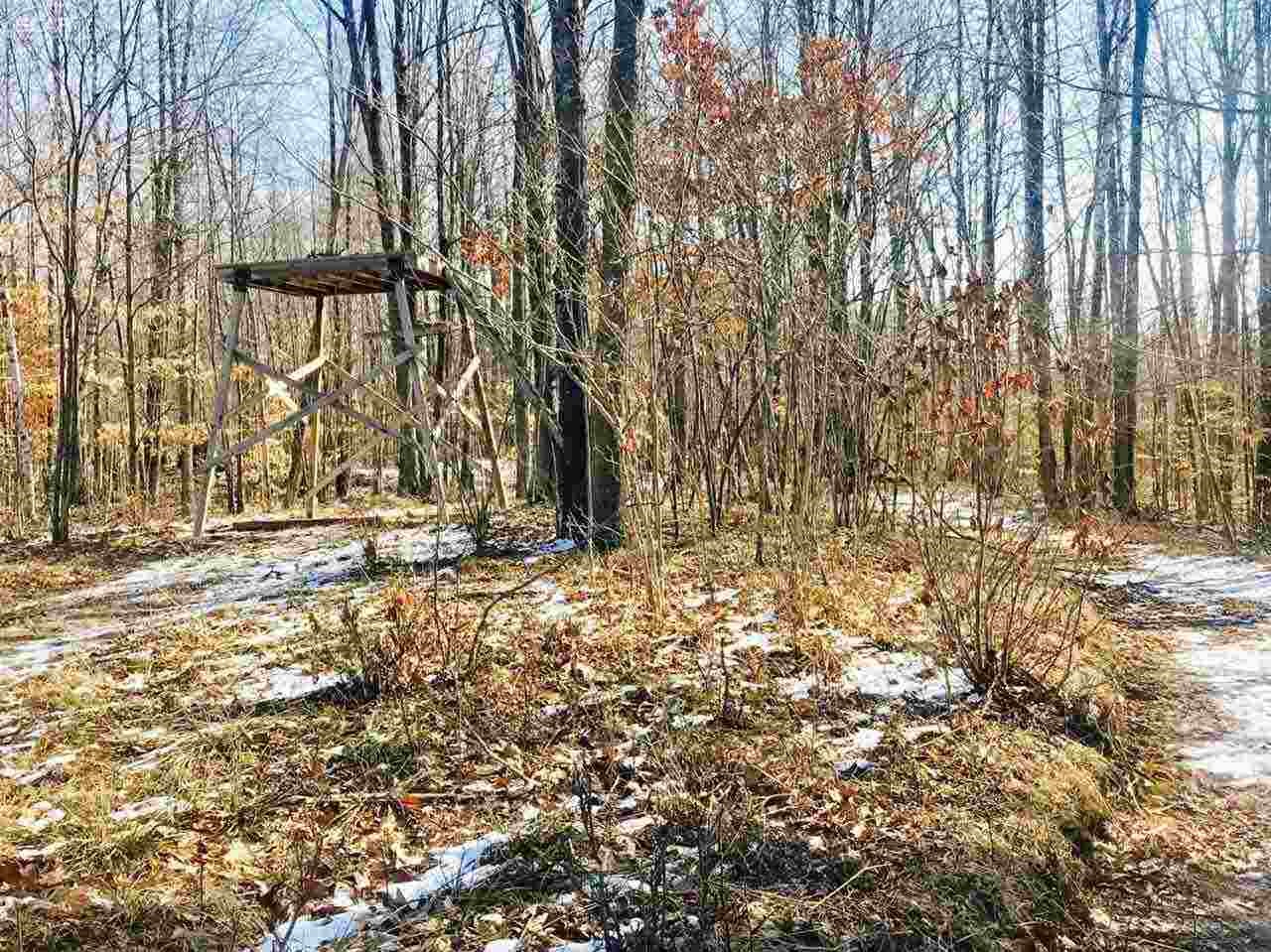 0 North Stark Road Hope, MI 48628 - Photo 27 of 89