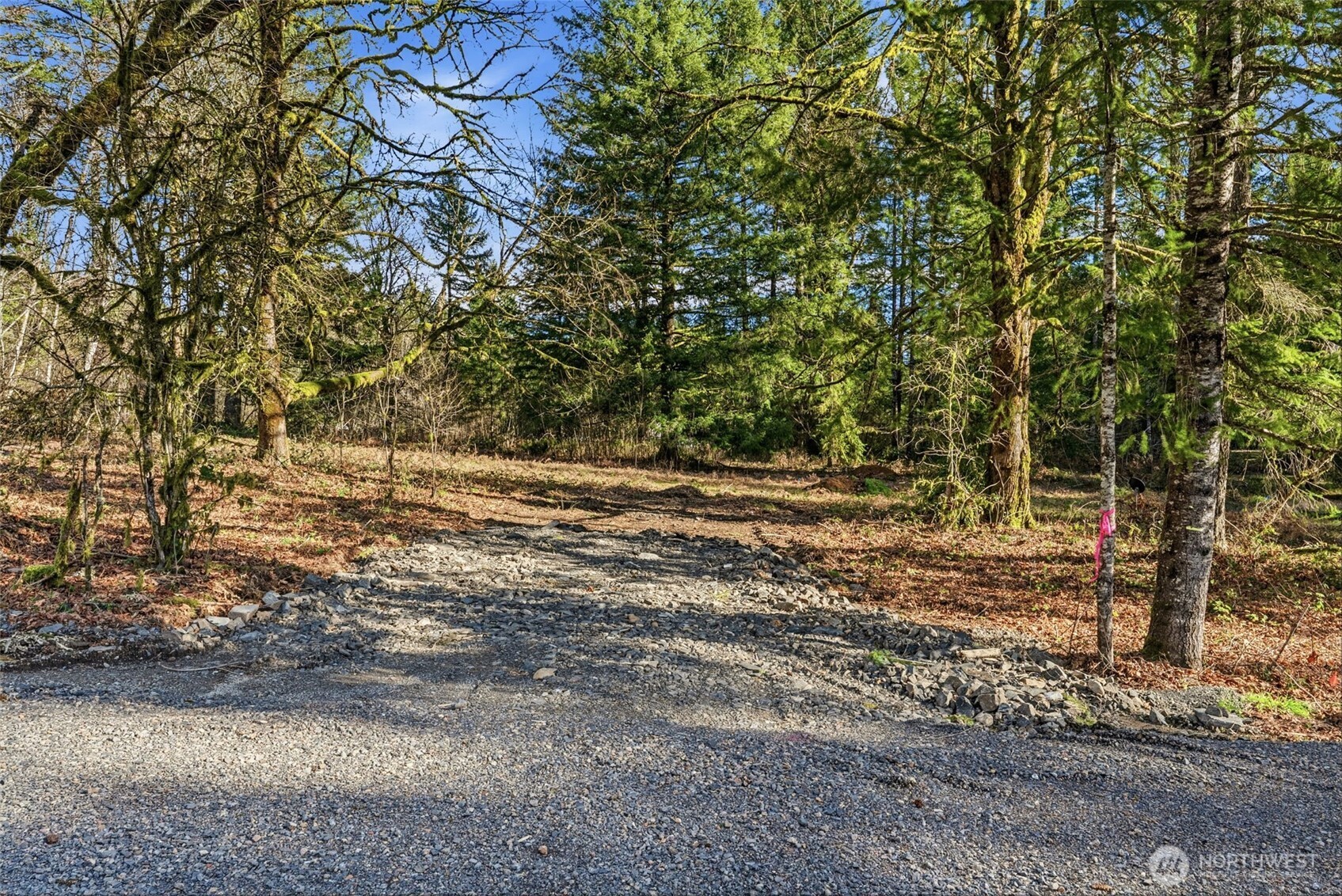 158 Windsock Road Ariel, WA 98603 - Photo 4 of 5