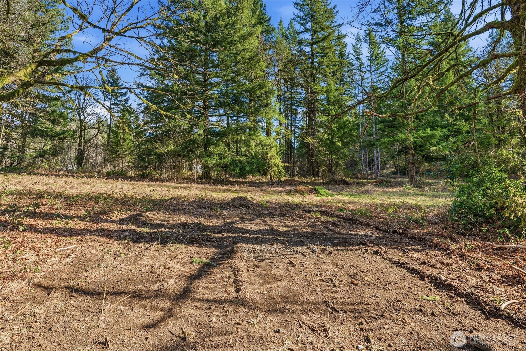 158 Windsock Road Ariel, WA 98603 - Photo 5 of 5