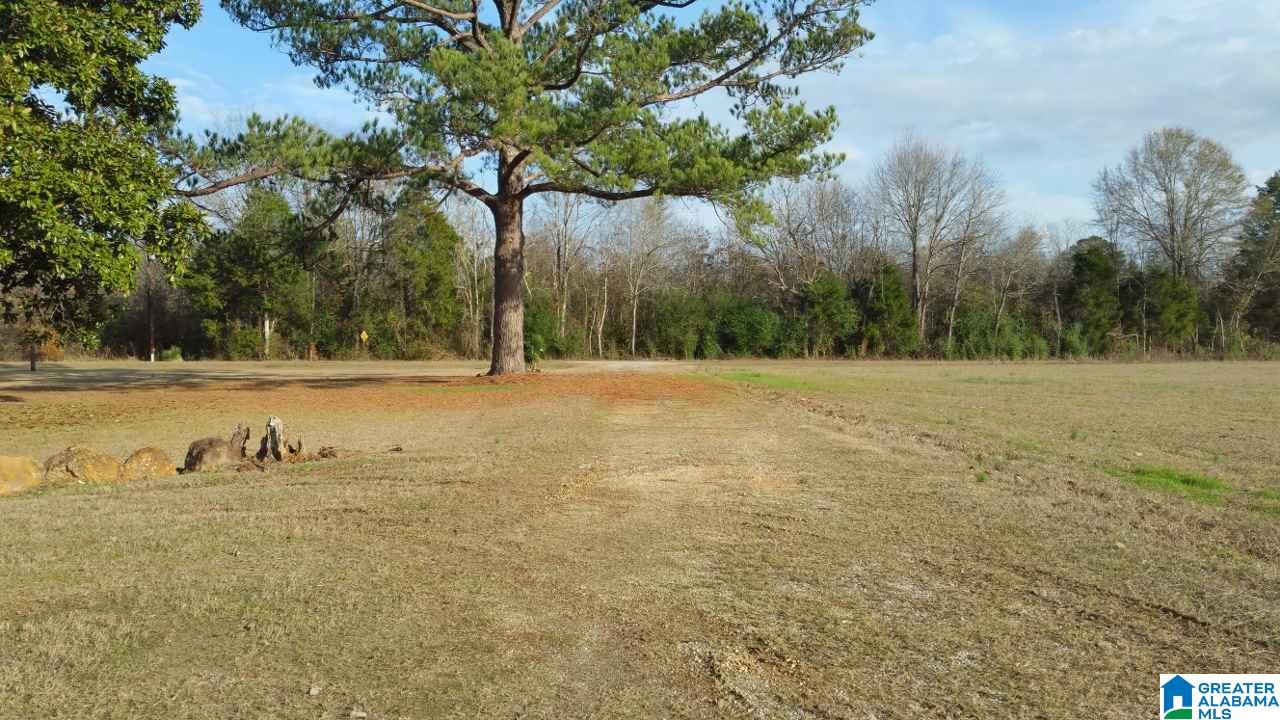 1223 Brasfield Road Akron, AL 35441 - Photo 36 of 38