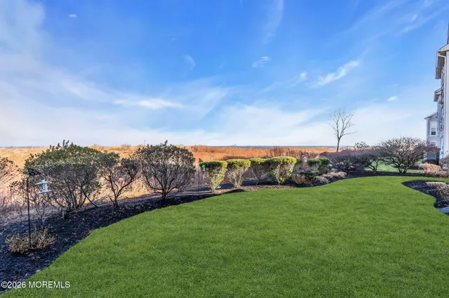 a view of a grassy field with trees in the background