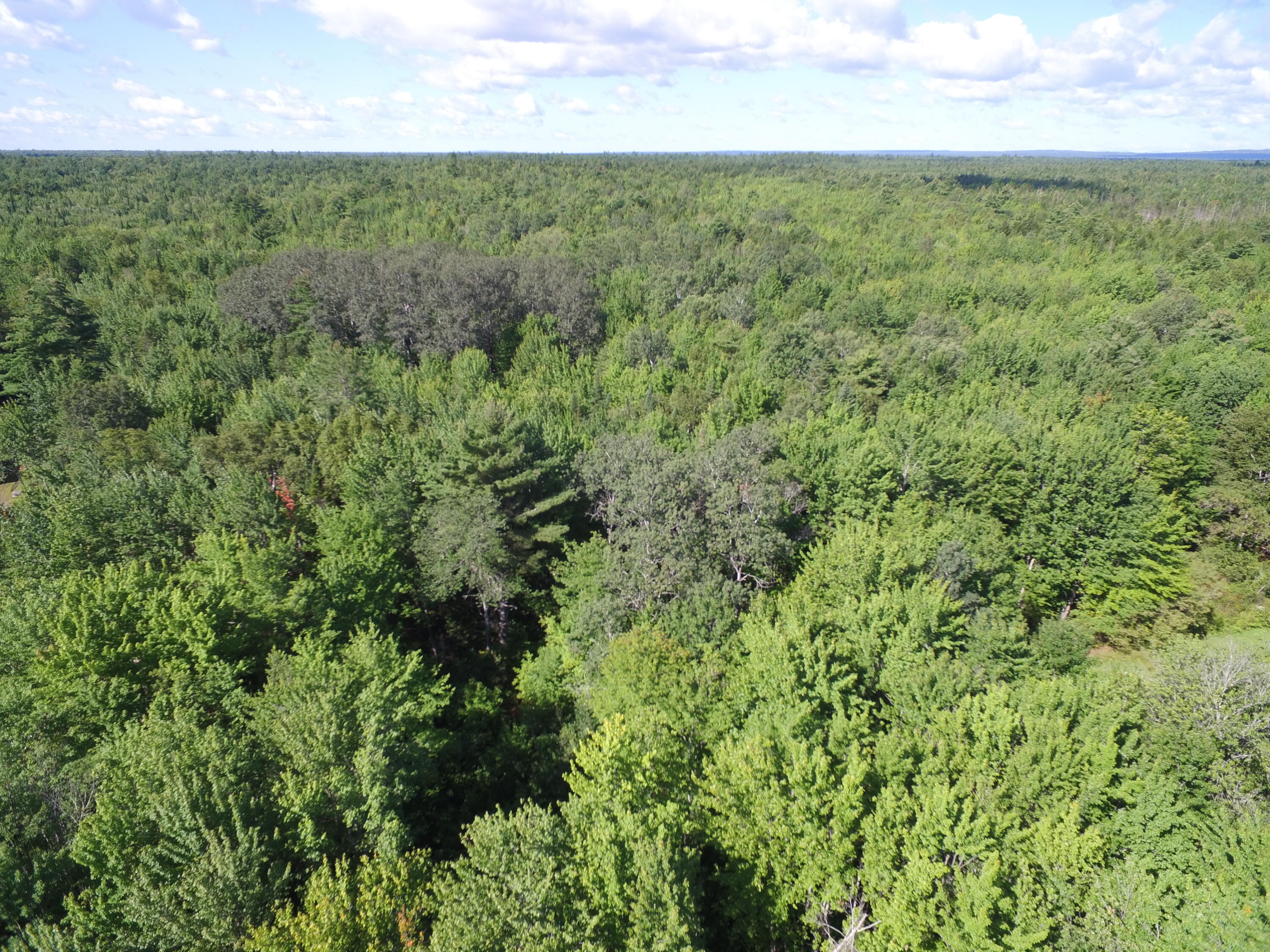 2 Edinburg Road Howland, ME 04448 - Photo 11 of 16 DJI_0027