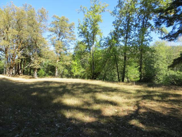 2500 Van Duzen Road Bridgeville, CA 95526 - Photo 24 of 48
