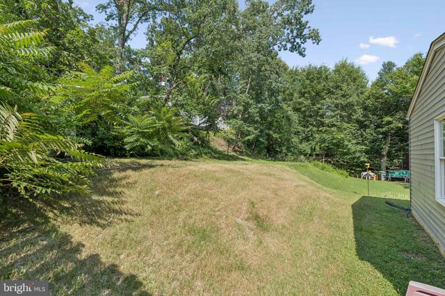 a view of a yard with an tree