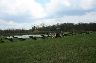 10914 Summerfield Road Temperance, MI 48182 - Photo 4 of 20 Yard and Pond