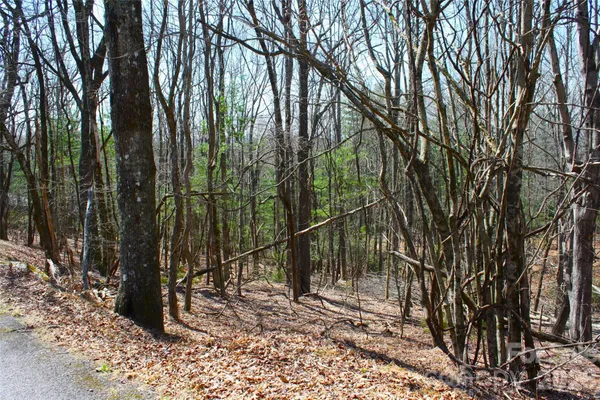 $86,900 | 0 Slick Rock Road, Brevard, NC 28712
