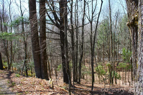 $86,900 | 0 Slick Rock Road, Brevard, NC 28712