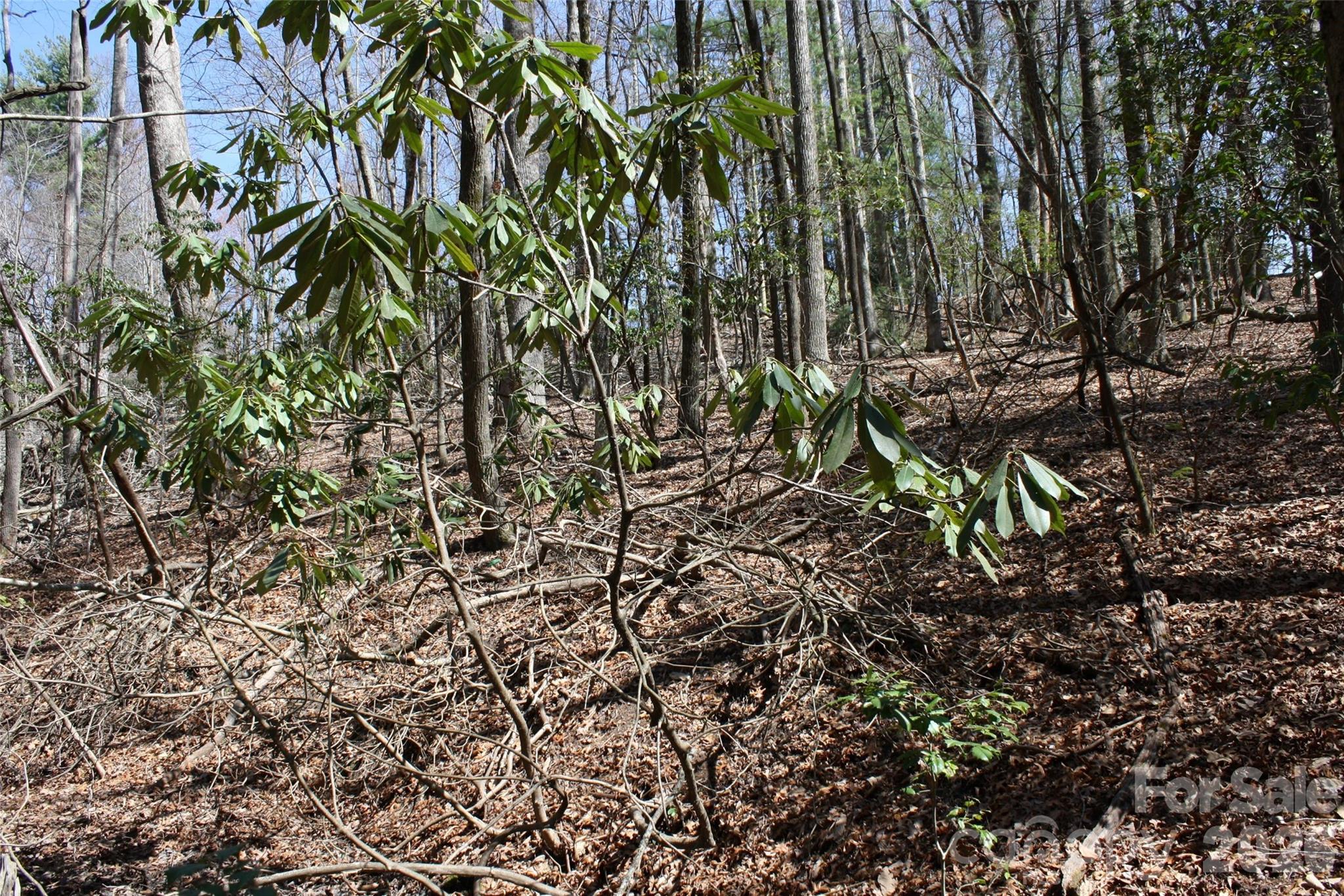 0 Slick Rock Road Brevard, NC 28712 - Photo 4 of 9