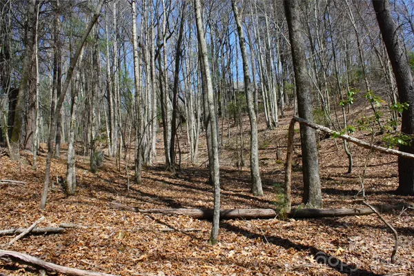 $86,900 | 0 Slick Rock Road, Brevard, NC 28712