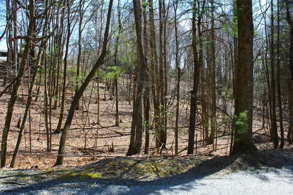 $86,900 | 0 Slick Rock Road, Brevard, NC 28712