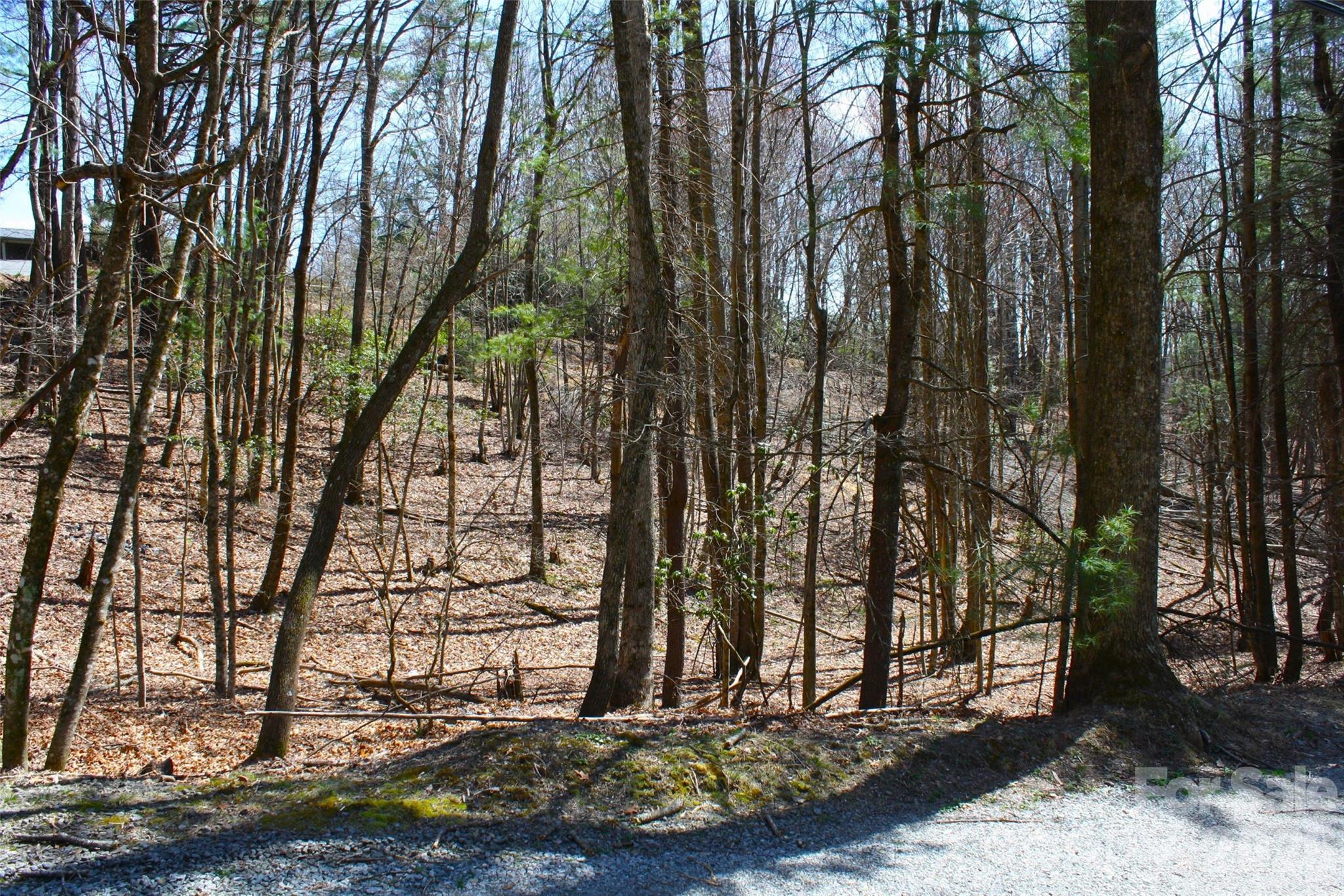 0 Slick Rock Road Brevard, NC 28712 - Photo 7 of 9