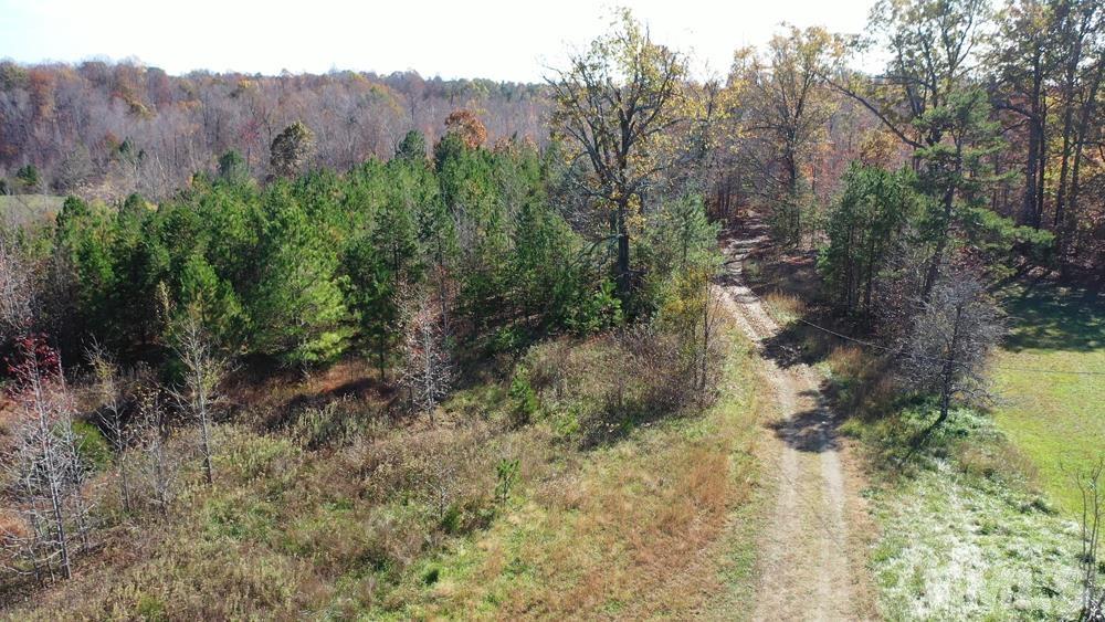 0 Fire Tower Road Snow Camp, NC 27349 - Photo 11 of 18 a view of a yard with a tree