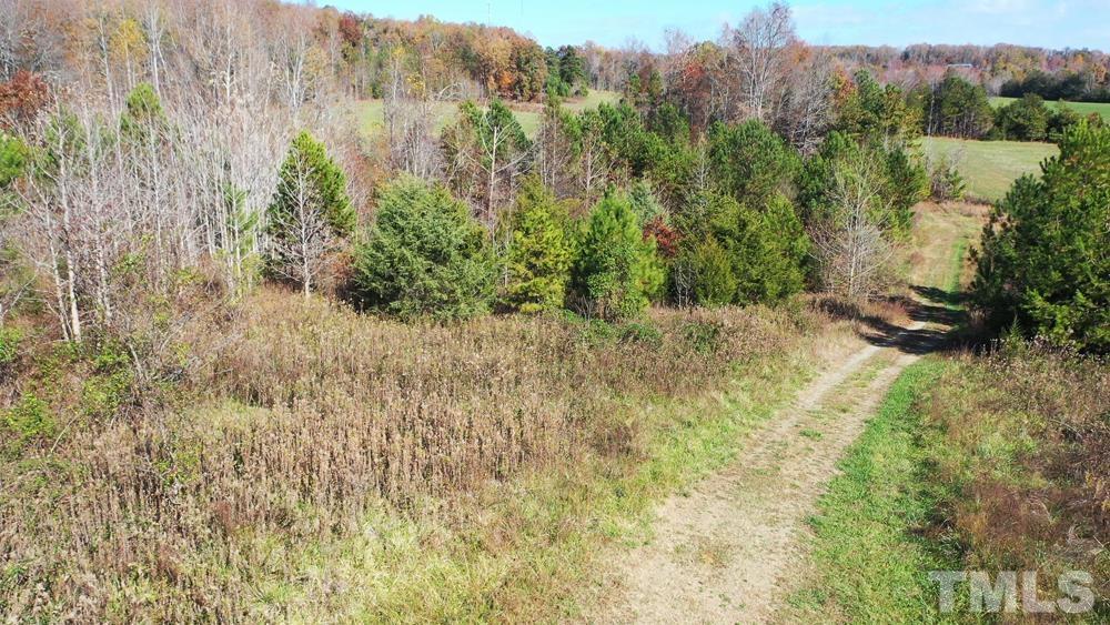 0 Fire Tower Road Snow Camp, NC 27349 - Photo 12 of 18 a view of a bunch of trees and bushes