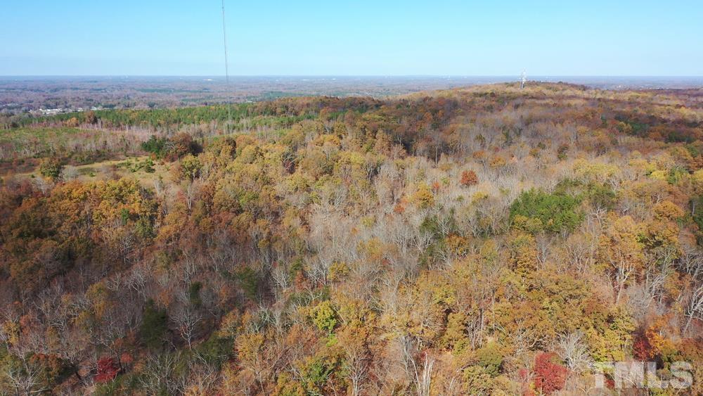 0 Fire Tower Road Snow Camp, NC 27349 - Photo 18 of 18 a view of a city with lush green forest
