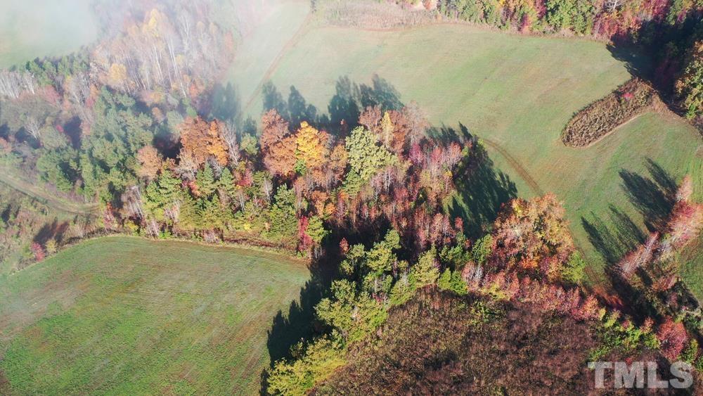 0 Fire Tower Road Snow Camp, NC 27349 - Photo 4 of 18 a view of a yard with plants