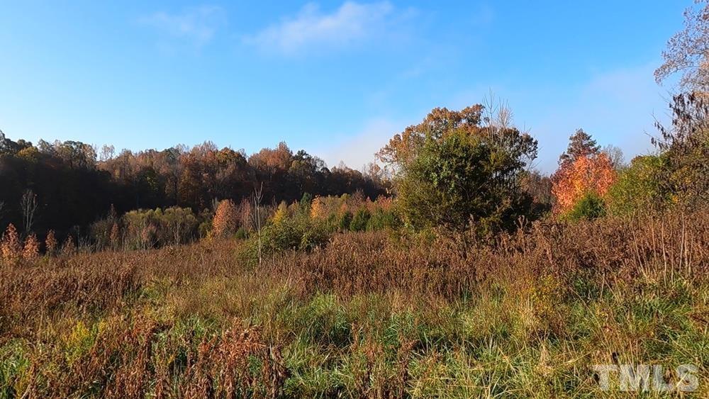 0 Fire Tower Road Snow Camp, NC 27349 - Photo 7 of 18 a view of a lake with a forest
