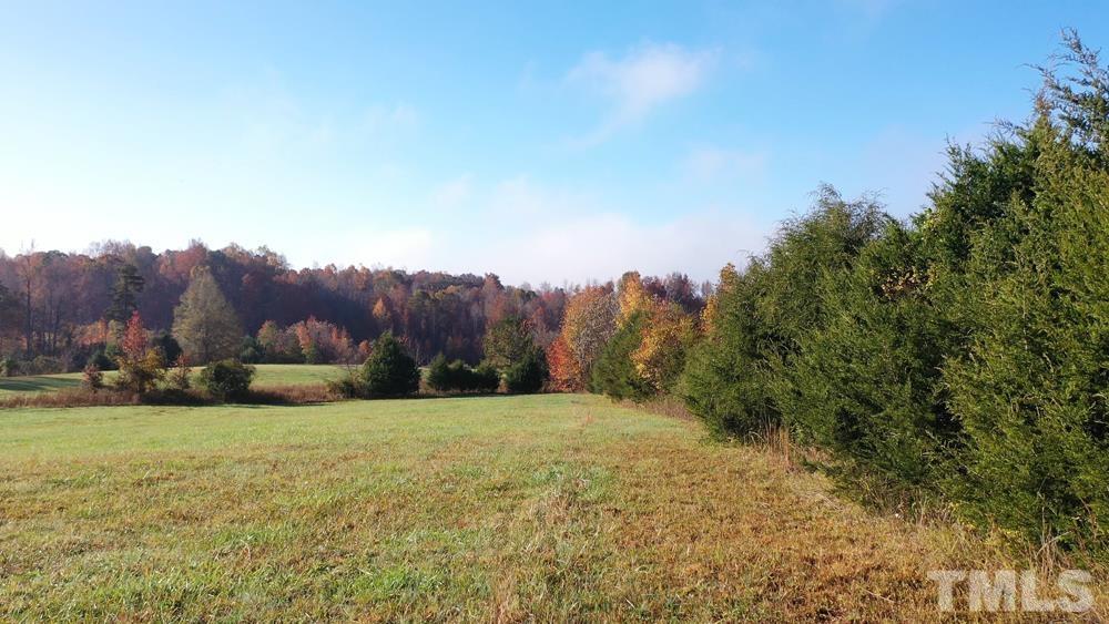 0 Fire Tower Road Snow Camp, NC 27349 - Photo 9 of 18 a view of a grassy field with trees in the background