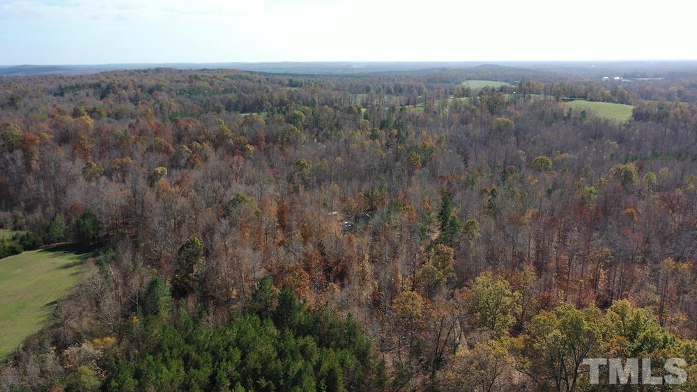 0 Fire Tower Road Snow Camp, NC 27349 - Photo 10 of 18 a view of a forest with trees in the background