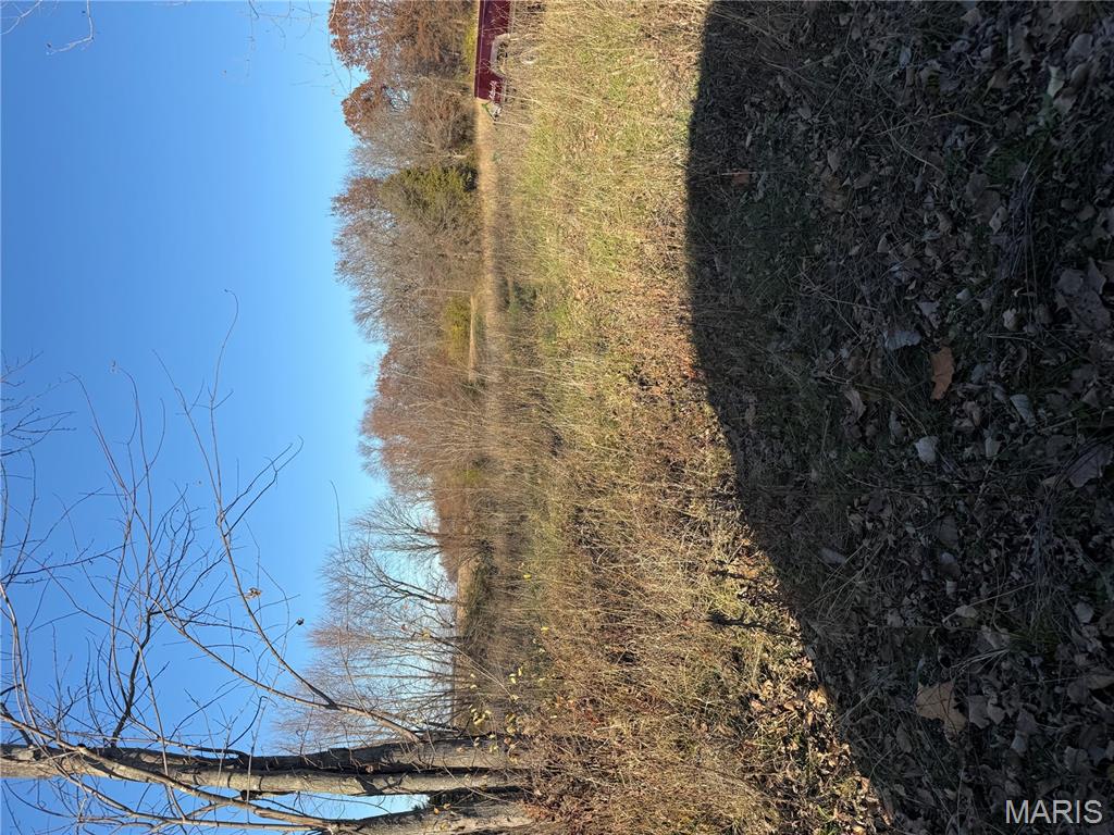 19713 Washer Road Mount Olive, IL 62069 - Photo 3 of 4