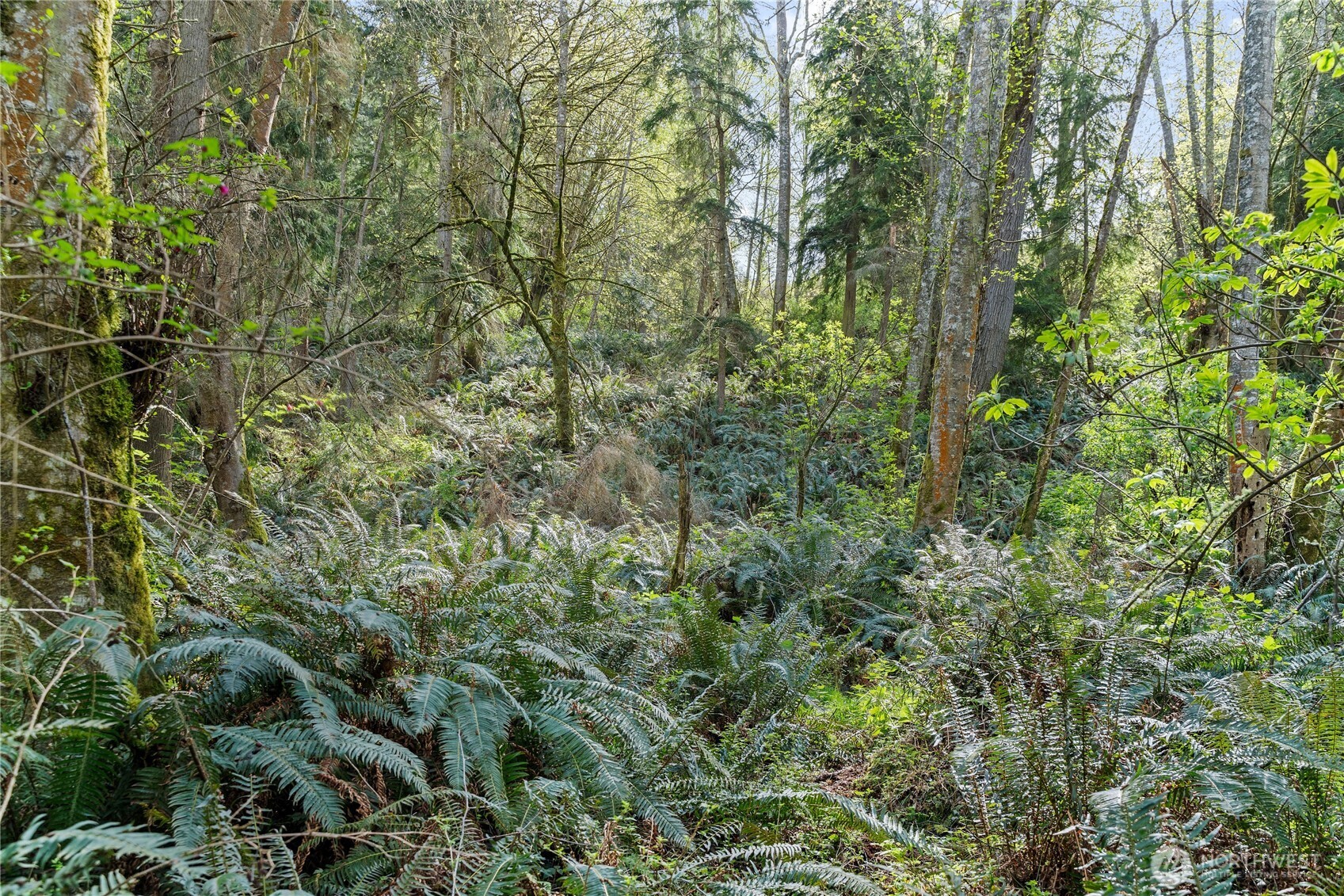 0 Greenoch Loop Oak Harbor, WA 98277 - Photo 12 of 30