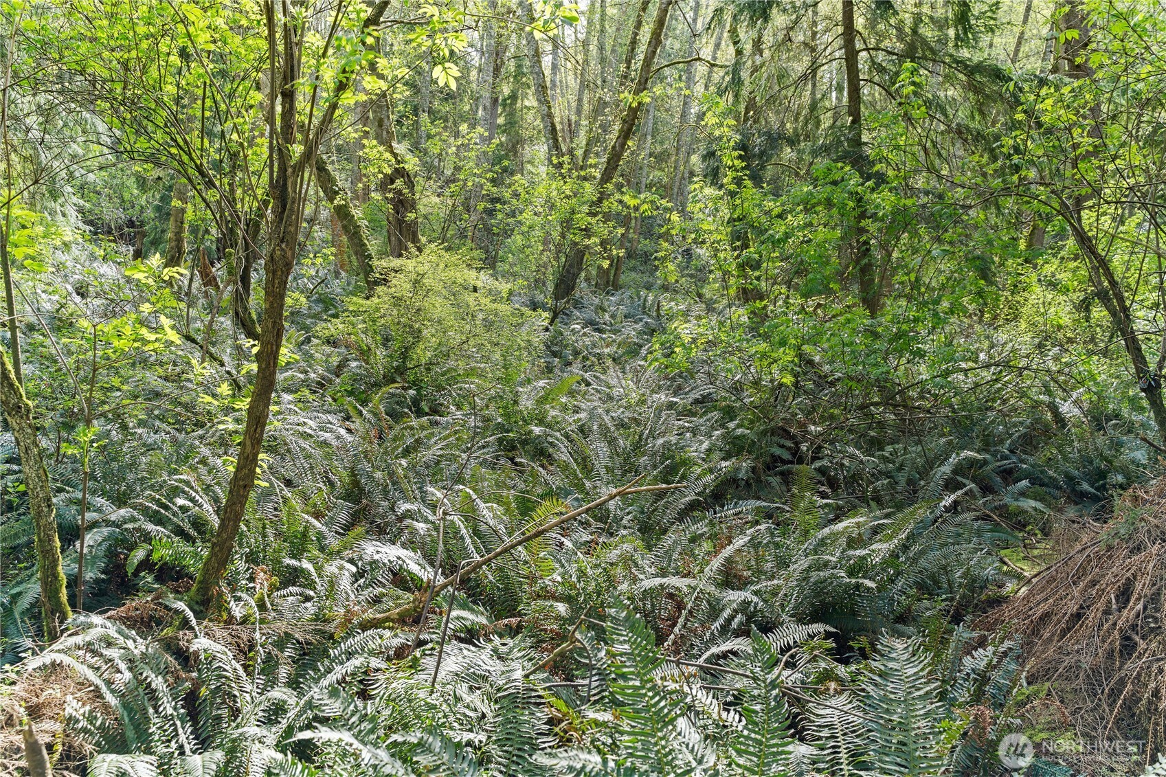 0 Greenoch Loop Oak Harbor, WA 98277 - Photo 13 of 30