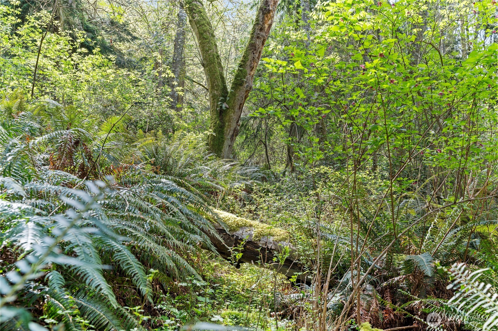 0 Greenoch Loop Oak Harbor, WA 98277 - Photo 14 of 30