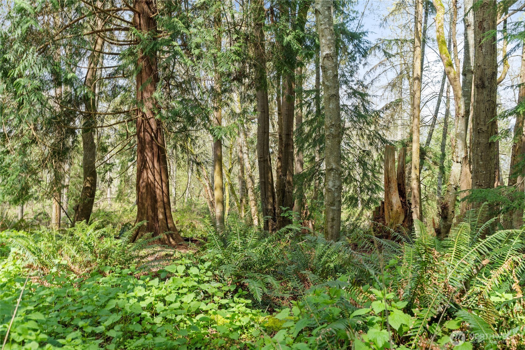 0 Greenoch Loop Oak Harbor, WA 98277 - Photo 15 of 30