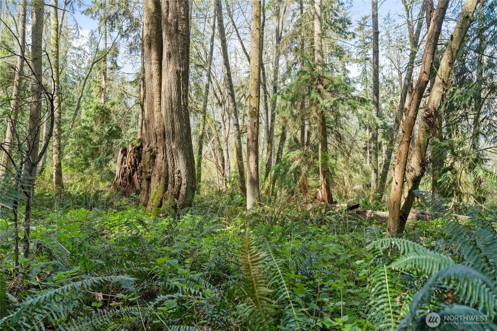 0 Greenoch Loop Oak Harbor, WA 98277 - Photo 16 of 30