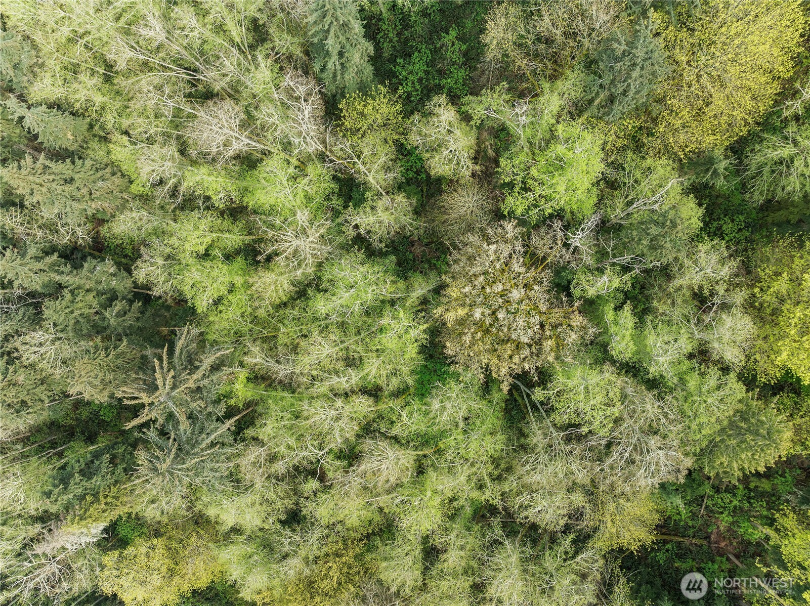 0 Greenoch Loop Oak Harbor, WA 98277 - Photo 17 of 30