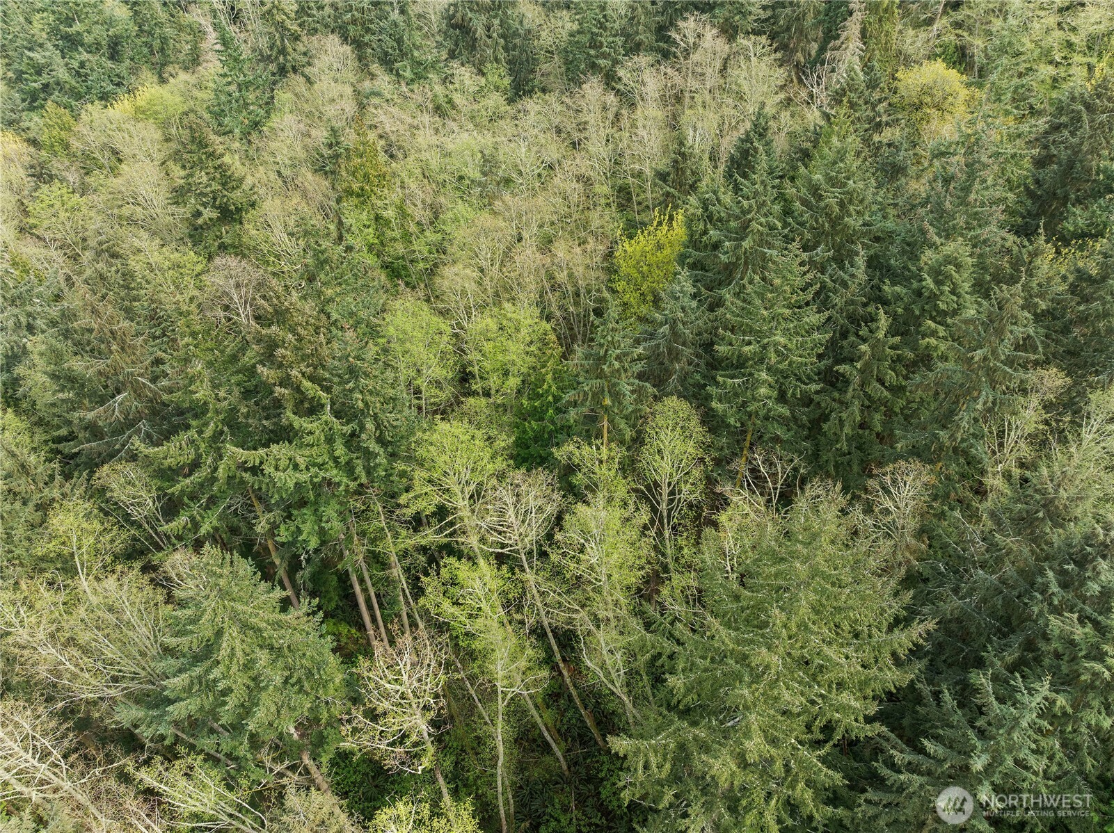 0 Greenoch Loop Oak Harbor, WA 98277 - Photo 18 of 30