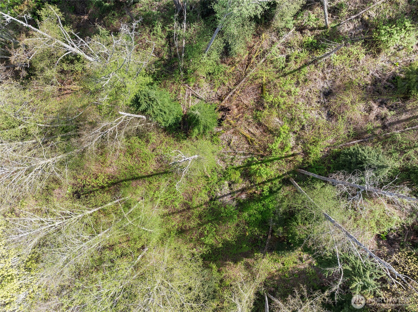 0 Greenoch Loop Oak Harbor, WA 98277 - Photo 22 of 30