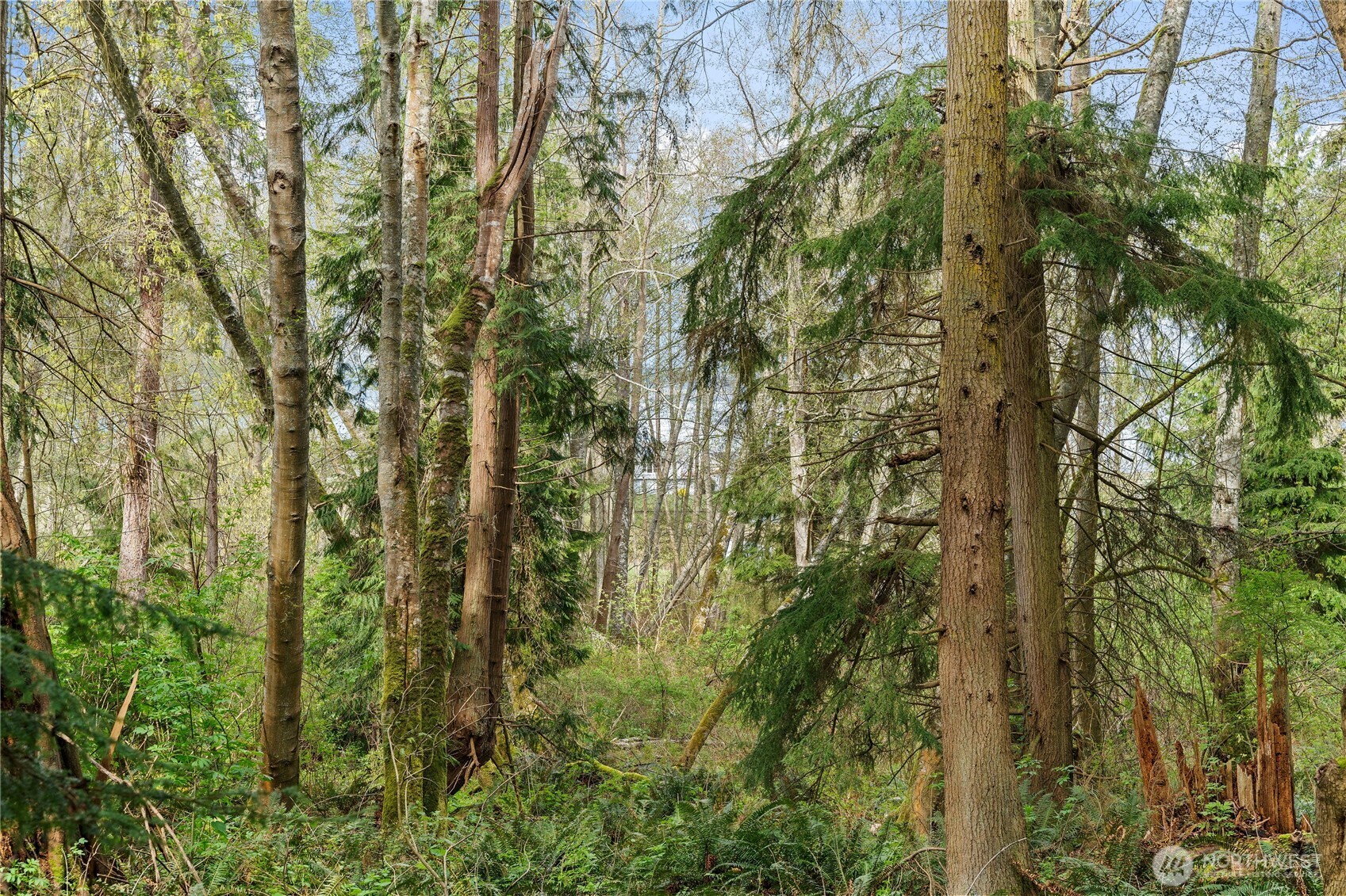 0 Greenoch Loop Oak Harbor, WA 98277 - Photo 5 of 30