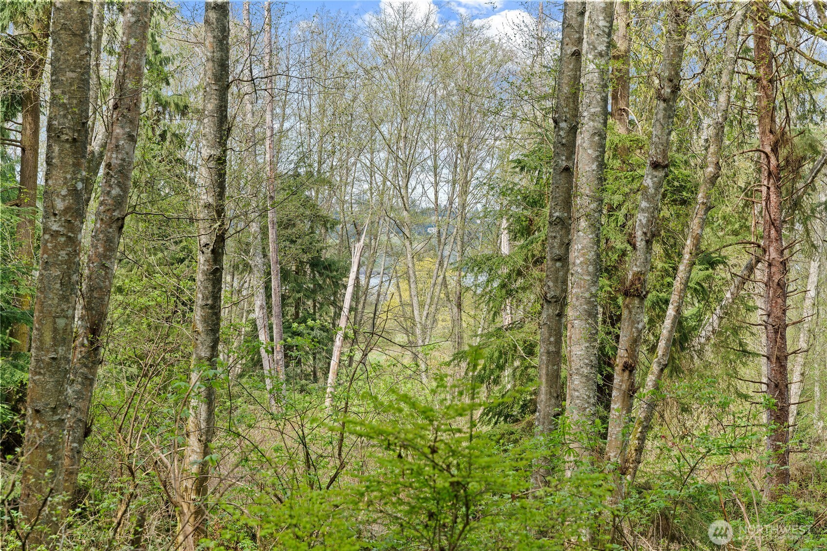 0 Greenoch Loop Oak Harbor, WA 98277 - Photo 6 of 30