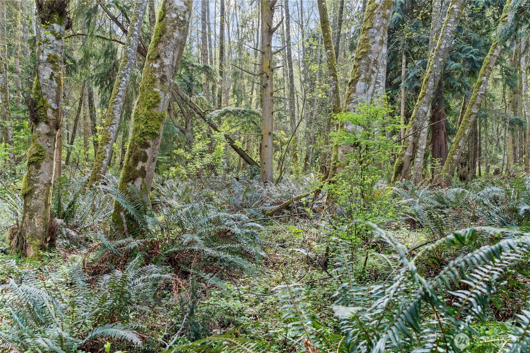 0 Greenoch Loop Oak Harbor, WA 98277 - Photo 7 of 30