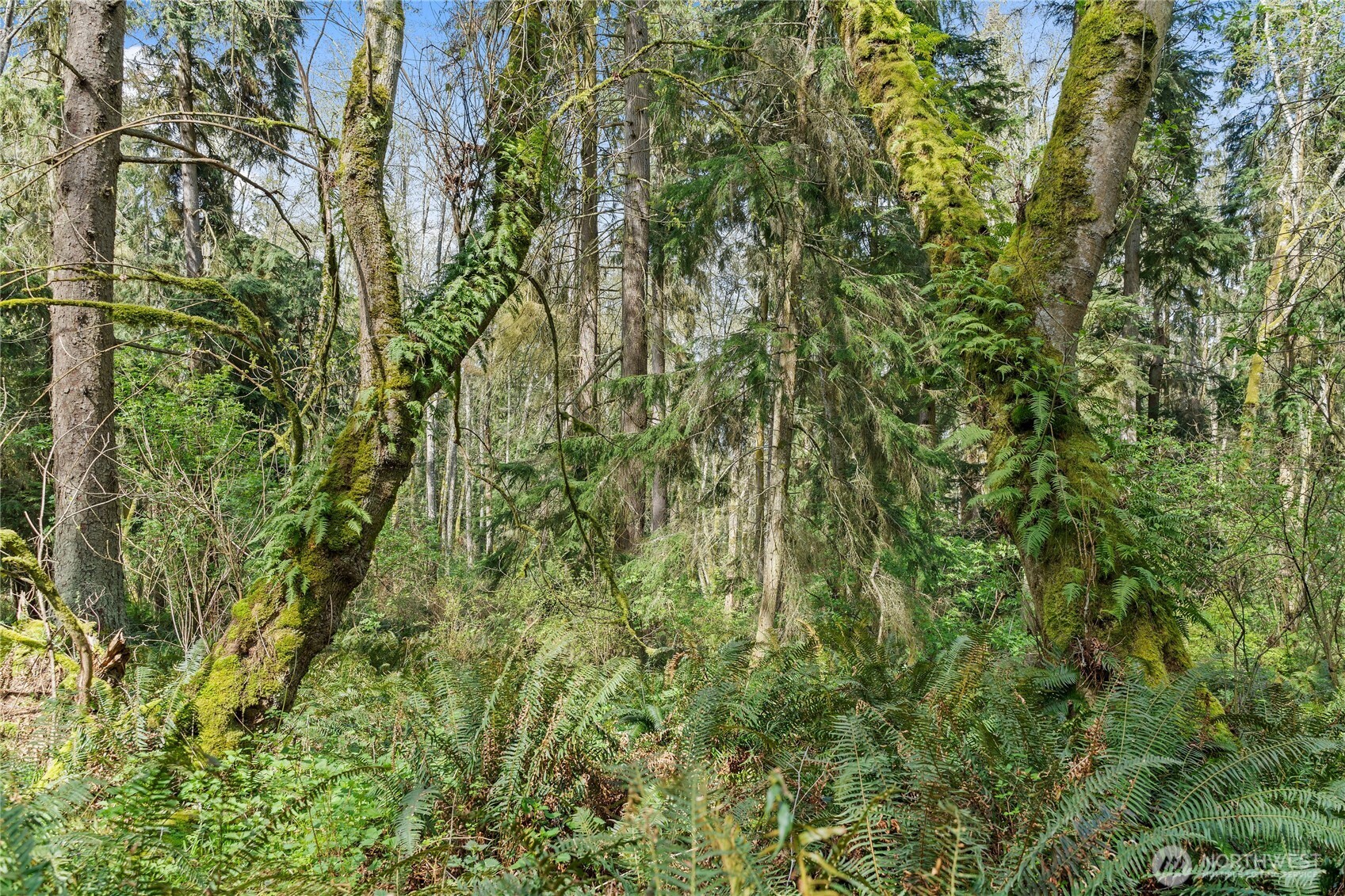 0 Greenoch Loop Oak Harbor, WA 98277 - Photo 10 of 30