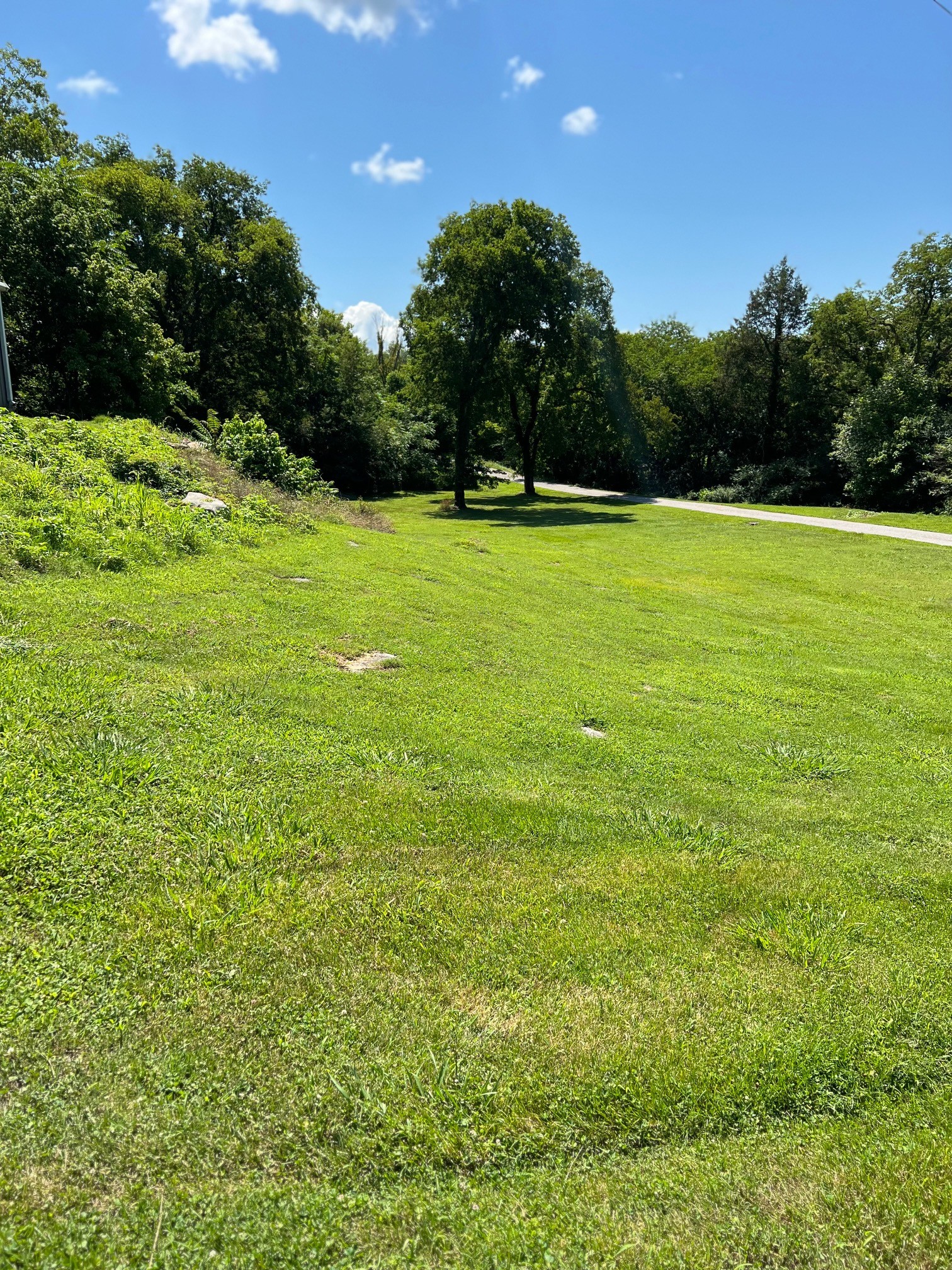 10 Alexander Road Riddleton, TN 37151 - Photo 33 of 37 a view of a green field with trees in the background