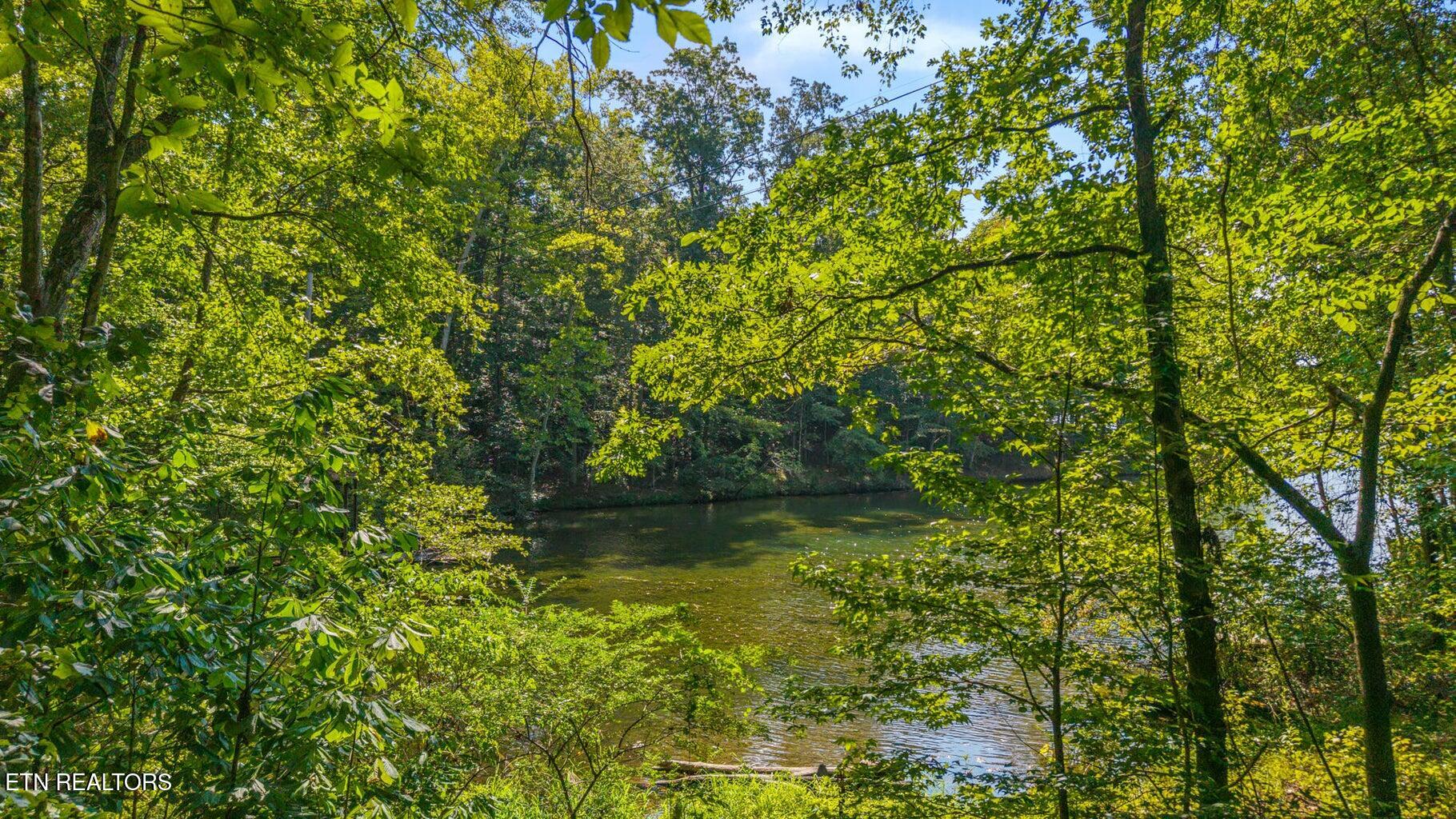 0 Eagle Point Drive Rockwood, TN 37854 - Photo 2 of 11 eaglepoint4