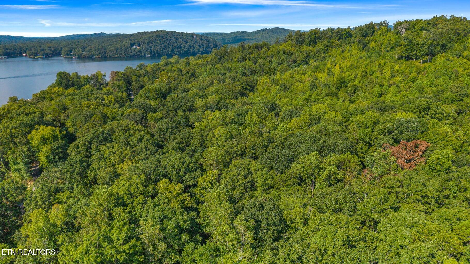 0 Eagle Point Drive Rockwood, TN 37854 - Photo 6 of 11 eaglepoint9