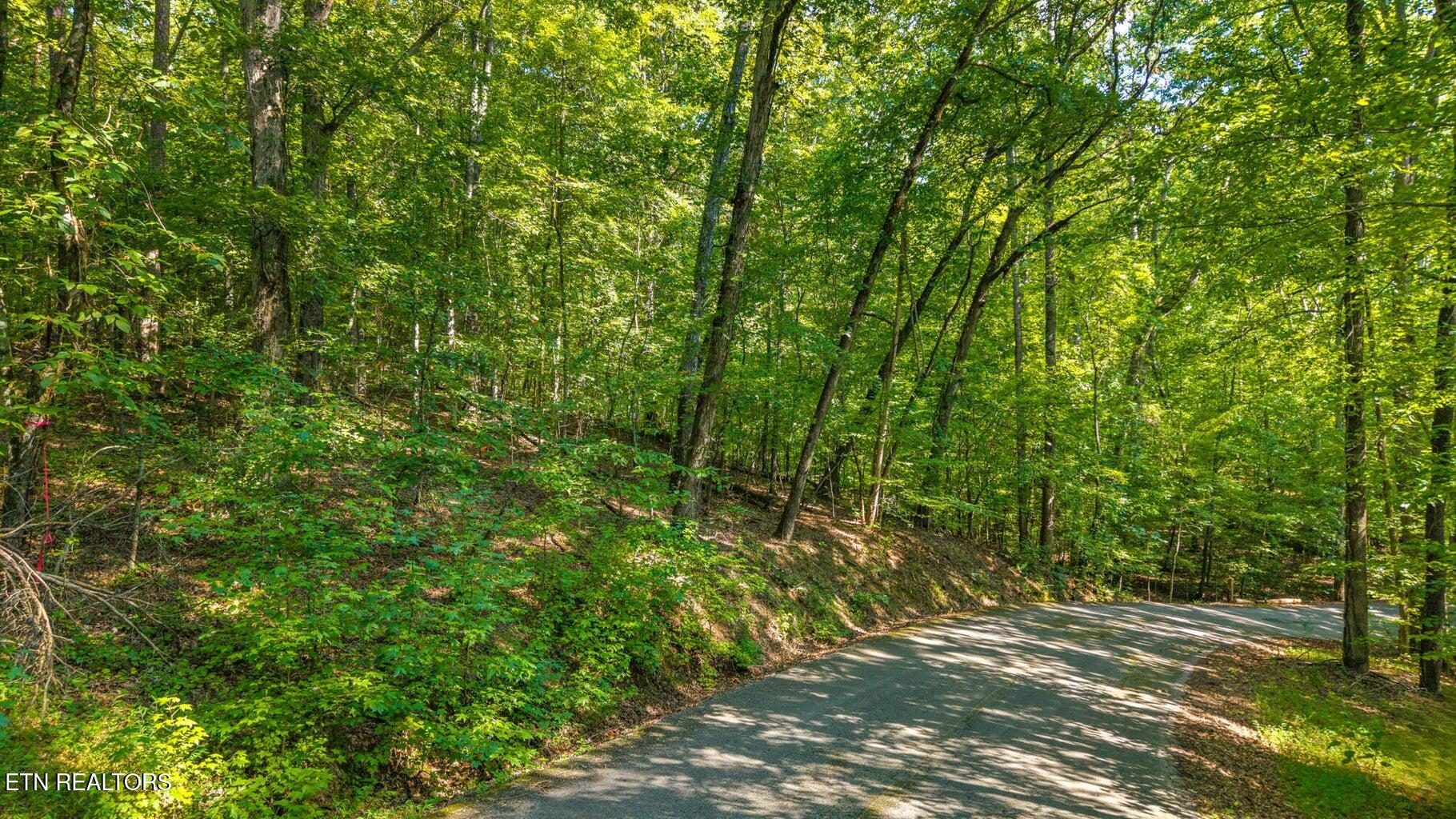 0 Eagle Point Drive Rockwood, TN 37854 - Photo 7 of 11 eaglepoint8