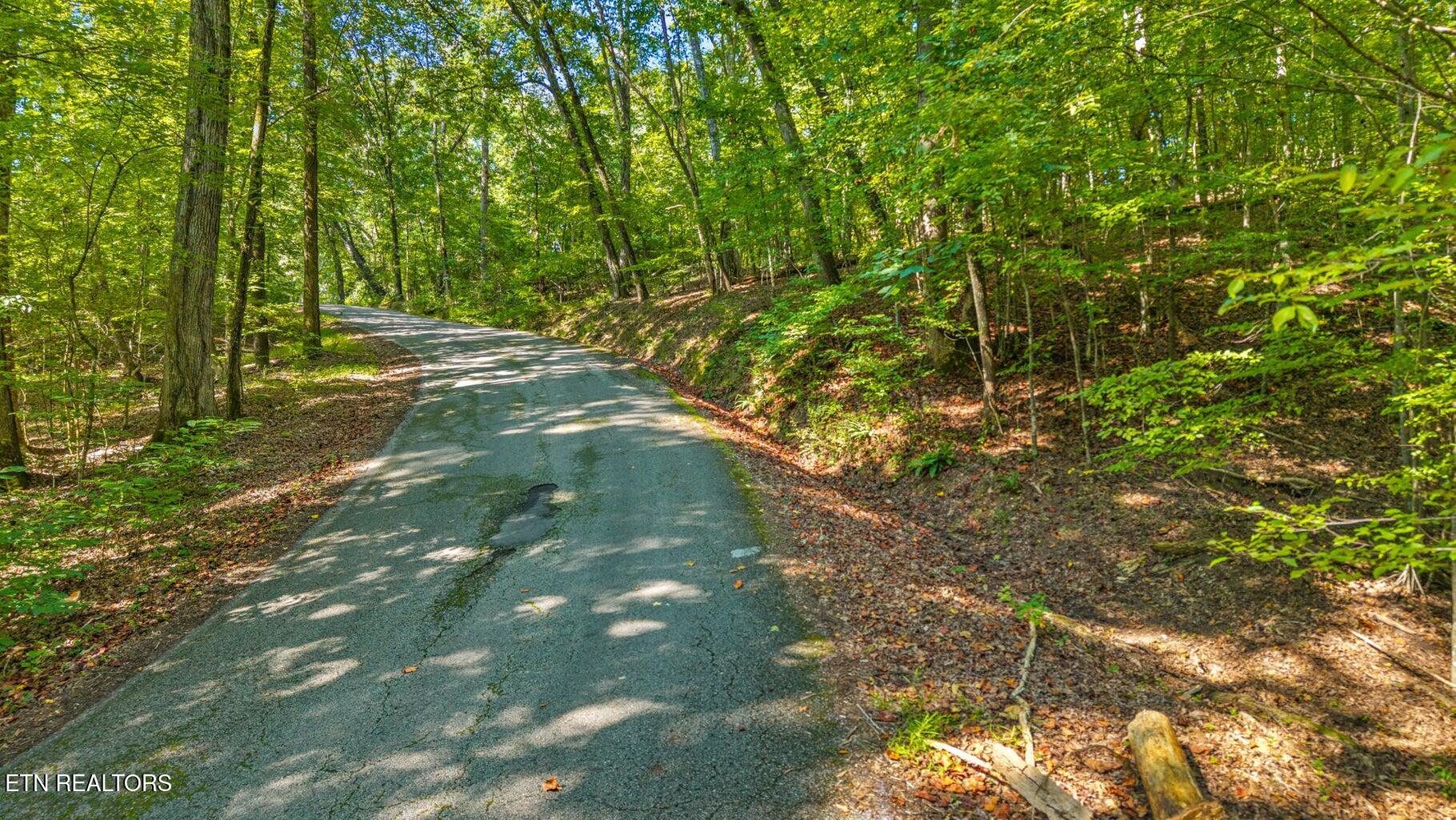 0 Eagle Point Drive Rockwood, TN 37854 - Photo 8 of 11 eaglepoint7