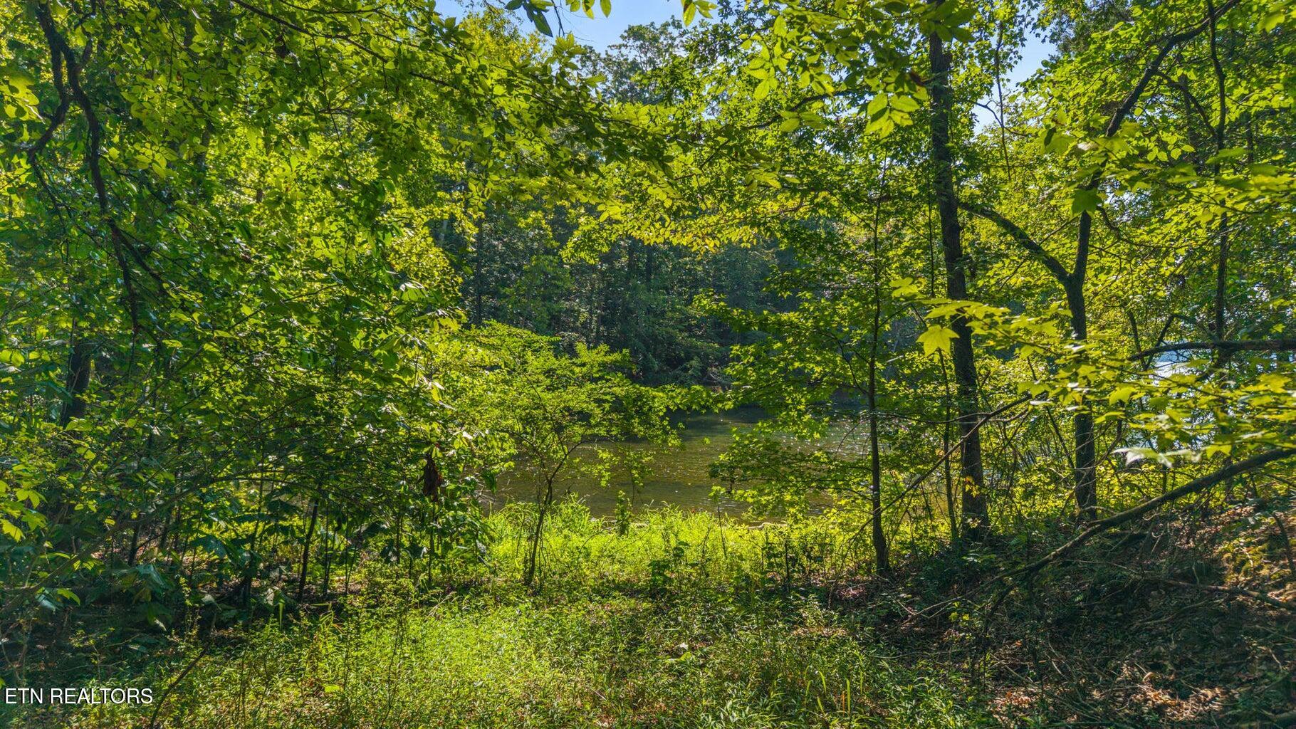 0 Eagle Point Drive Rockwood, TN 37854 - Photo 10 of 11 eaglepoint5