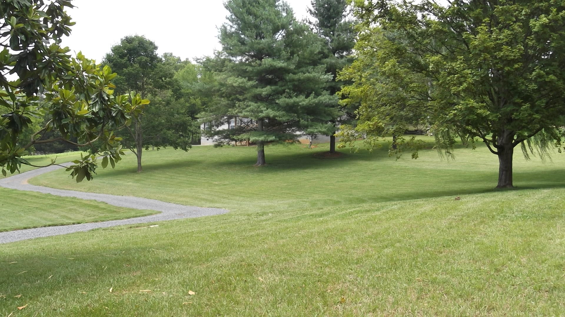 1415 Leadmine Road, Unit 1 White Pine, TN 37890 - Photo 1 of 35 DSCF4074 - Copy
