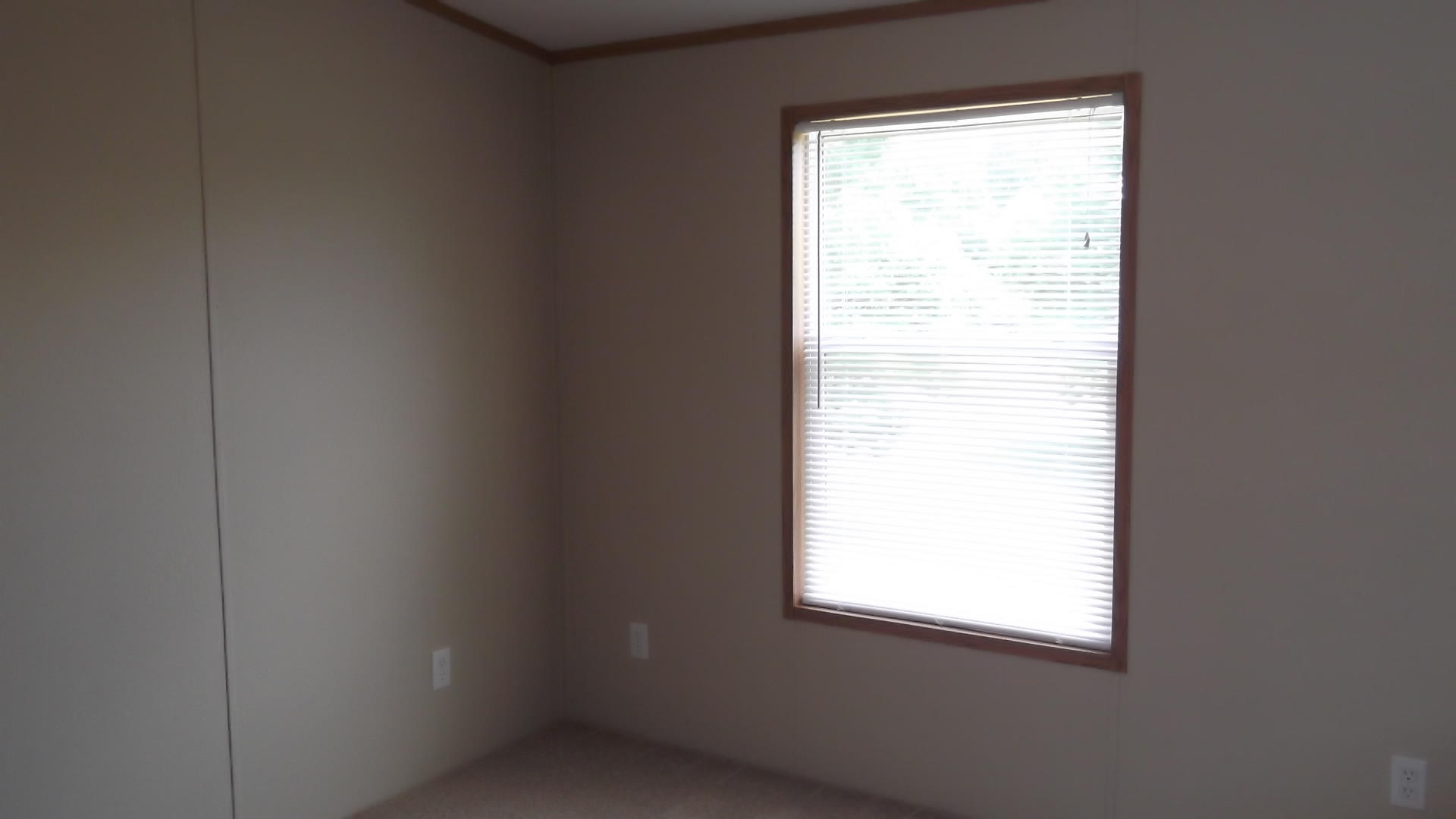 1415 Leadmine Road, Unit 1 White Pine, TN 37890 - Photo 11 of 35 DSCF4085